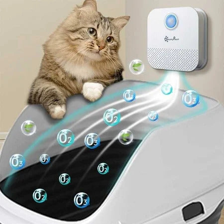 cat next to litter box with a device called odoroff that eliminates bad smell from litter box