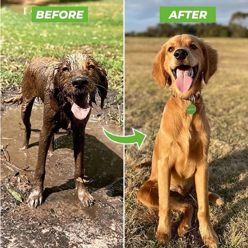 before and after picture of a dog got cleaned by a good dog product called pupjet