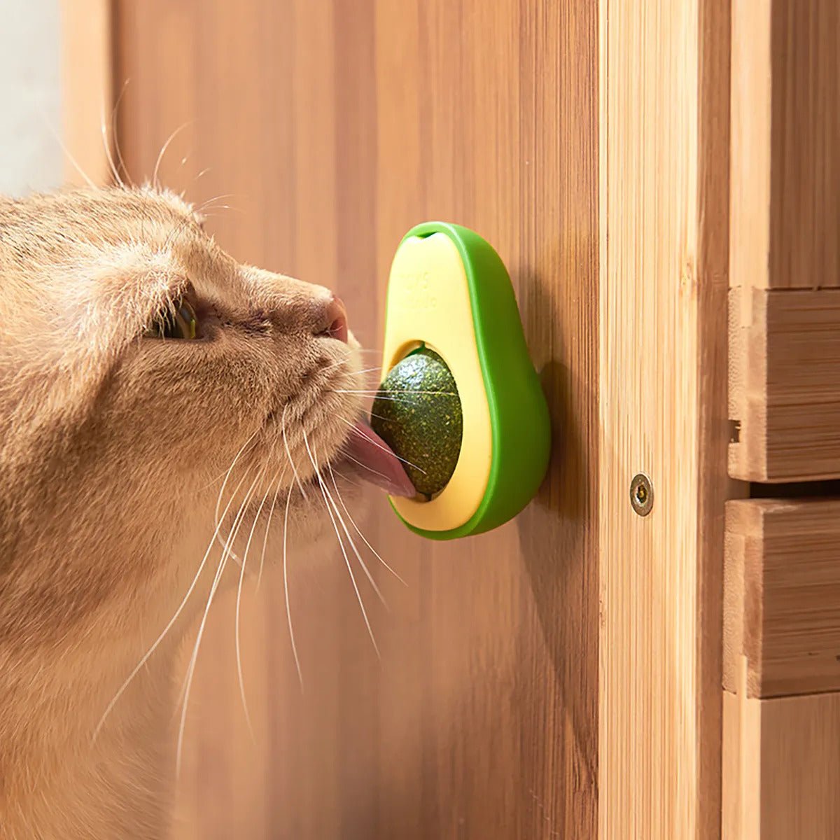 a cat licking an avocado-shaped catnip stucked to a wall